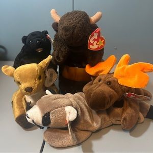 Lot of 5 Ty Beanie Babies
